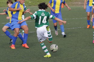 星空娱乐棋牌官网下载-上海申花再遭柔佛新山逆转，1-3失利痛失连胜机会